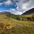Liathach and Torridon Forest